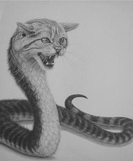     . 

:	Snake-cat.jpg 
:	331 
:	40.6  
ID:	34873